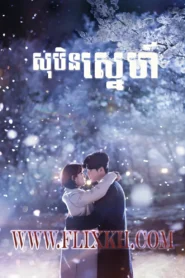 Suben Kae Veasna 2017-While You Were Sleeping